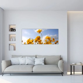Obraz poľa s jasne žltými kvetmi (120x50 cm)