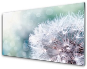 Obraz na skle Púpava rastlina 120x60 cm