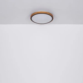 Globo 41764-12 - LED Stropné svietidlo BRUNO LED/12W/230V 307 mm 3000/4500/6000K