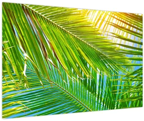 Obraz - Palmové listy (90x60 cm)