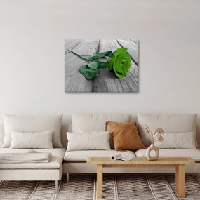 Obraz - Zelená ruža (70x50 cm)