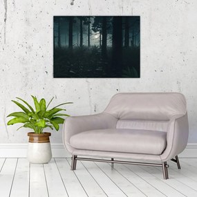 Sklenený obraz - Paprade v mesačnom svite (70x50 cm)