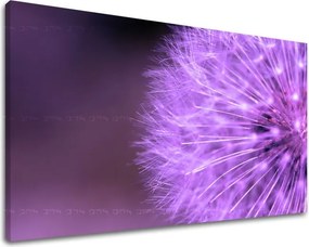 Obraz na stenu KVETY KV004E11 - 40x60 cm