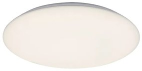 Rabalux 71124 - LED stropné svietidlo RORIK LED/24W/230V 4000K 38 cm