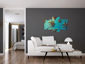 Obraz - Vysoké palmy (90x60 cm)