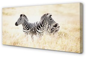 Obraz na plátne zebra box 125x50 cm