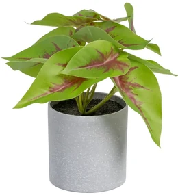Umelá rastlina (výška 20 cm) Syngonium – Ixia