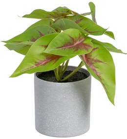 Umelá rastlina (výška 20 cm) Syngonium – Ixia