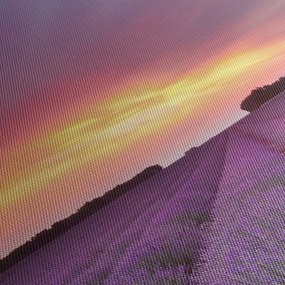 Obraz - Levanduľové pole (120x50 cm)