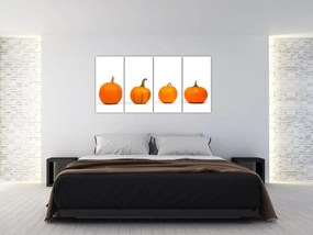 Obraz - oranžové tekvice