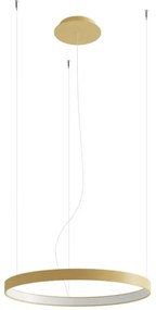 Thoro TH.216 - LED Luster na lanku RIO LED/30W/230V CRI90 3000K pr. 55 cm zlatá