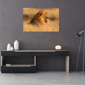 Obraz - Národný park Etosha (90x60 cm)