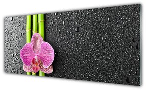 Obraz plexi Bambus kvet rastlina príroda 125x50 cm
