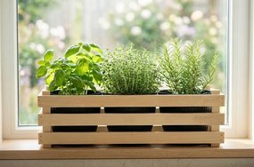 AMADEA Drevený obal na tri kvetináče, 47x17x15cm, drevený kvetináč