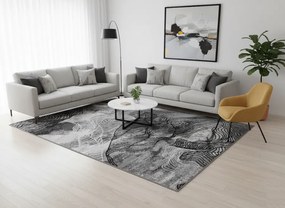 DC Koberec PP 010 sivá Rozmer: 250×350 cm
