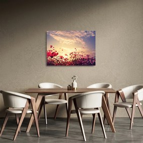 Sklenený obraz - Lúka s kvetmi (70x50 cm)