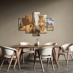 Obraz - dve levice (150x105 cm)