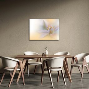 Obraz - Jemný kvet (70x50 cm)