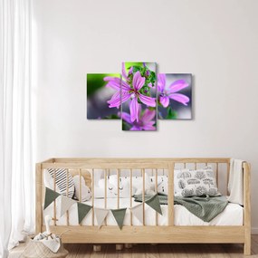 Detailný obraz kvetiny (90x60 cm)