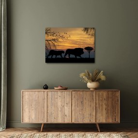 Obraz Safari (70x50 cm)
