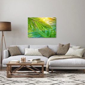 Sklenený obraz - Palmové listy (70x50 cm)