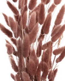 Kytica fúkačiek 60cm dusty pink
