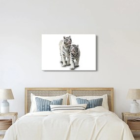 Obraz - Biely tiger (90x60 cm)