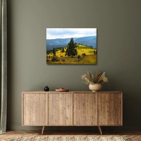 Obraz - Horská lúka (70x50 cm)