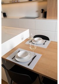 Plastové prestieranie 33x45 cm Fallon – ZicZac