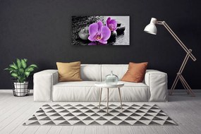 Obraz Canvas Orchidea kvety kamene zen 125x50 cm