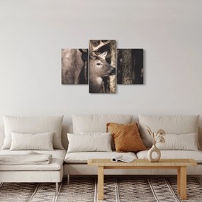 Obraz - Jeleň v lese (90x60 cm)