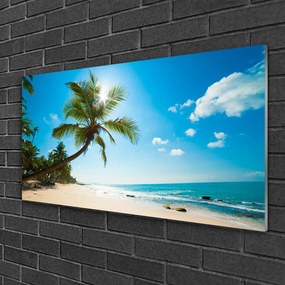 Skleneny obraz Palma strom pláž krajina 100x50 cm