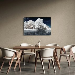 Obraz - Snehobiele stromy (90x60 cm)