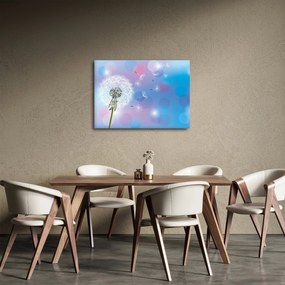 Obraz - Púpava vo vetre (70x50 cm)
