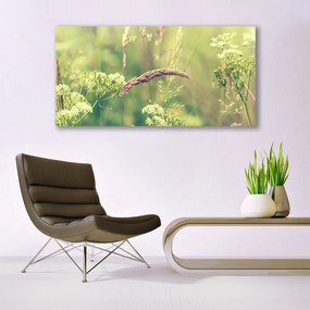 Obraz plexi Divoké rastliny príroda 120x60 cm