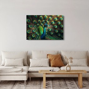 Obraz – Páv (90x60 cm)