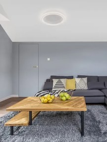 LED stropné svietidlo Willow R 45 biele