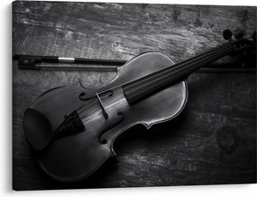 Obraz - Viola (70x50 cm)