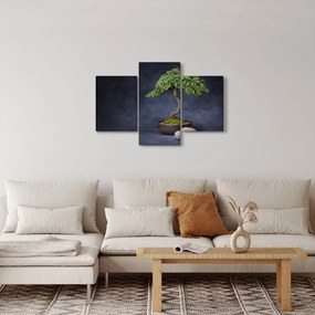 Obraz - Bonsai (90x60 cm)