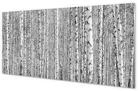 Obraz plexi Čierna a biela strom les 125x50 cm
