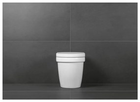 Villeroy & Boch ARCHITECTURA - Záchodové sedátko s poklopom, biela alpin 98M9D101