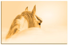 Obraz na plátne - Andalúzsky kôň v hmle 1219FA (90x60 cm  )