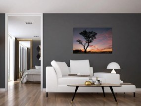 Obraz - Strom a červánky (90x60 cm)