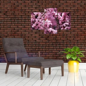 Obraz - Ružová sakura (90x60 cm)