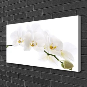 Obraz na plátne Kvetiny rastlina 140x70 cm