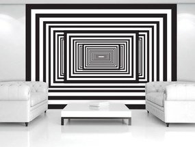 Fototapeta - Biely a čierny 3D tunel (254x184 cm)