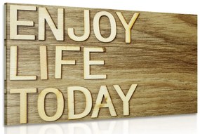 Obraz s citátom - Enjoy life today