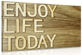 Obraz s citátom - Enjoy life today