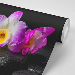 Samolepiaca fototapeta orchidea na Zen kameňoch - 375x250