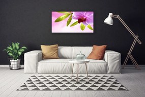 Obraz na plátne Kvet listy rastlina 125x50 cm